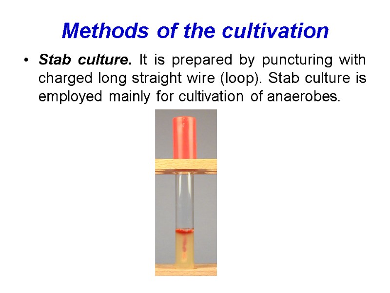 Methods of the cultivation Stab culture. It is prepared by puncturing with charged long